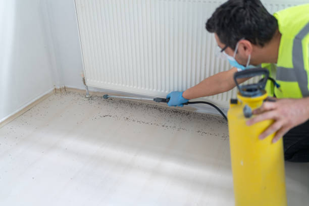 Reliable Newport Beach, CA Pest Control Solutions