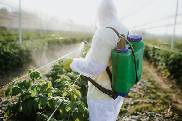 Best Pest Control Near Me  in Newport Beach, CA